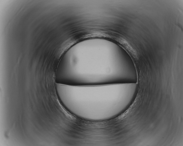 X0000097511233200802220858