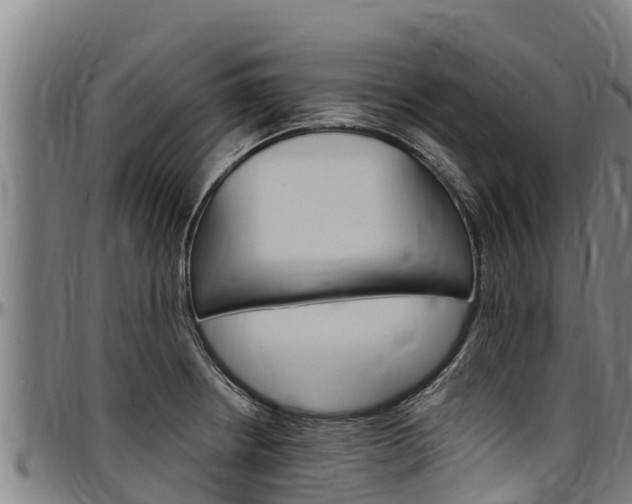 X0000097511234200802220858