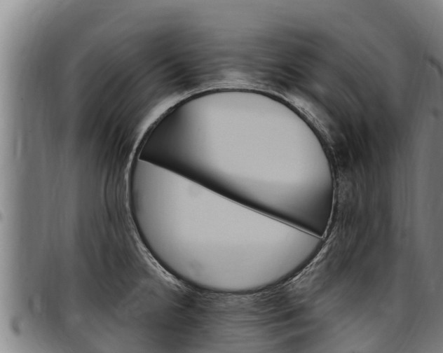 X0000097511238200802220858