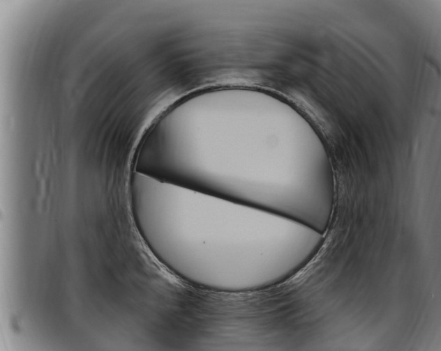 X0000097511240200802220858
