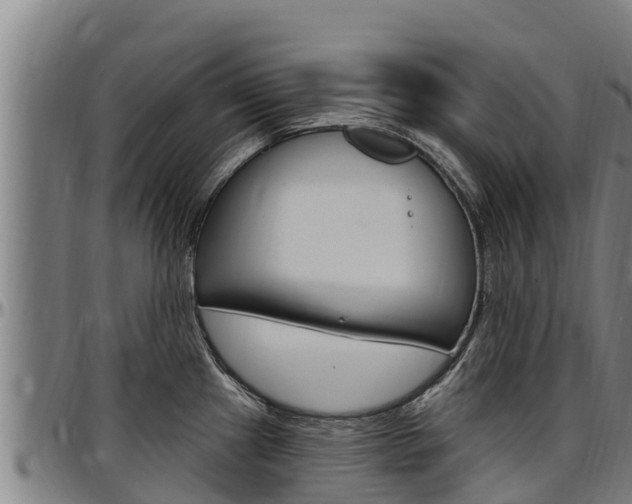 X0000097511241200802220858