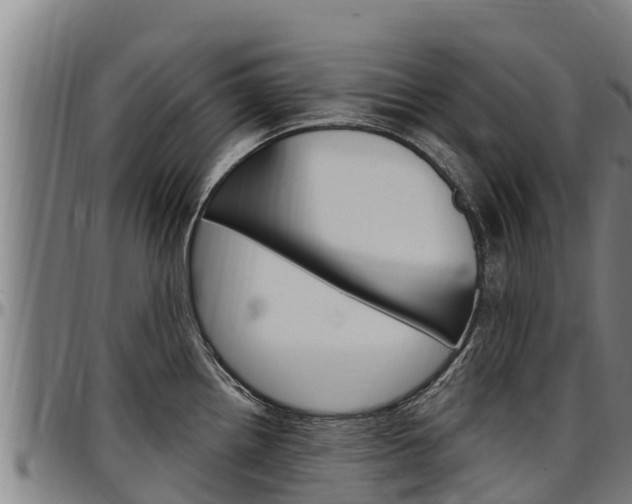 X0000097511242200802220858