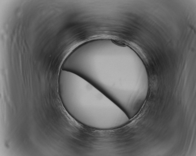 X0000097511244200802220858
