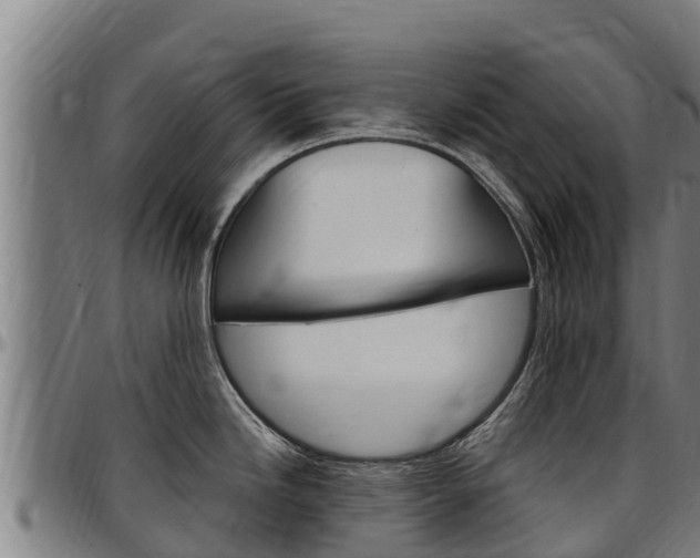 X0000097511246200802220858
