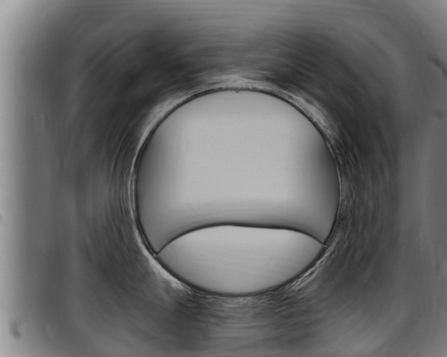 X0000097511247200802220858