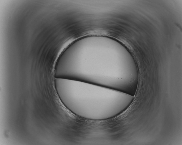 X0000097511248200802220858