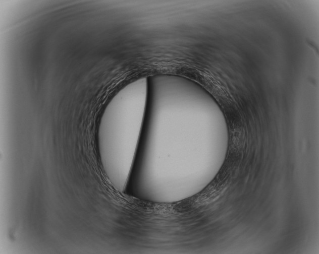 X0000097511249200802220857