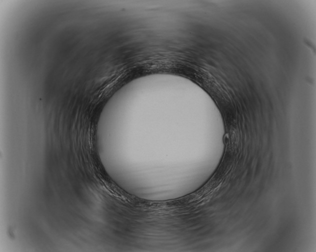 X0000097511250200802220857