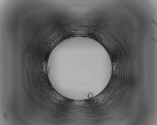 X0000097511251200802220857