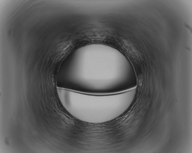 X0000097511252200802220857