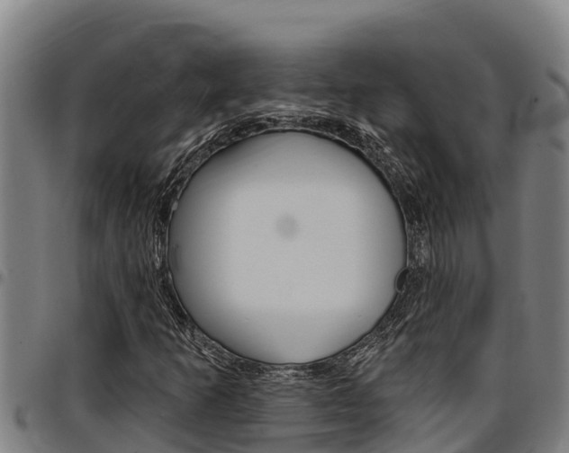 X0000097511253200802220857