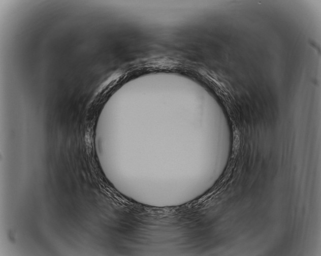 X0000097511254200802220857