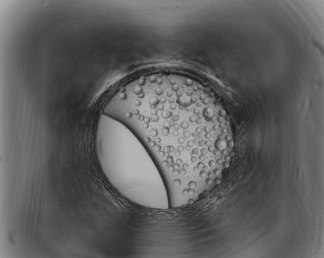 X0000097511255200802220857