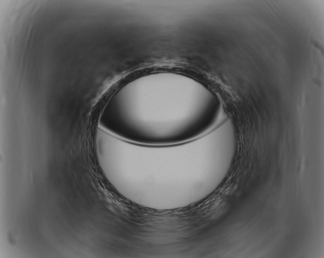 X0000097511256200802220857