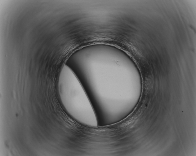 X0000097511257200802220857