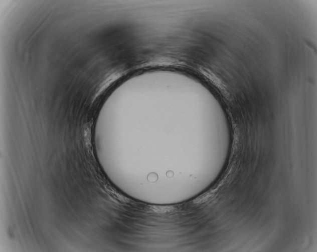 X0000097511258200802220857