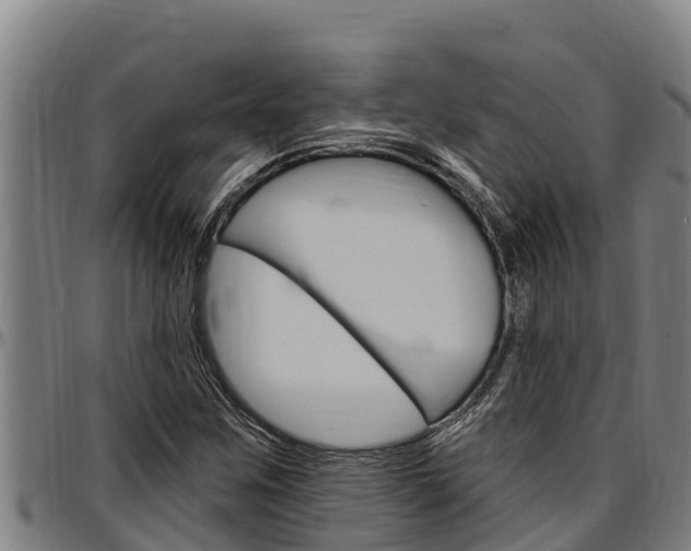 X0000097511259200802220857