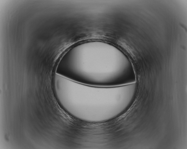 X0000097511260200802220857
