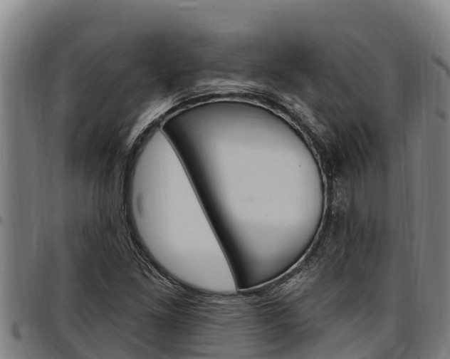 X0000097511261200802220857