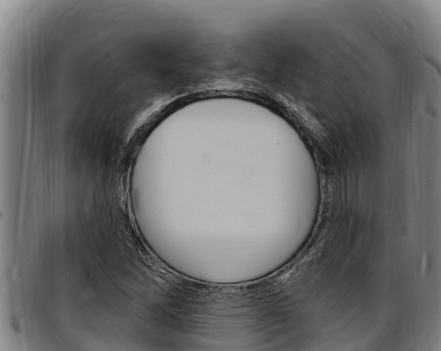 X0000097511262200802220857