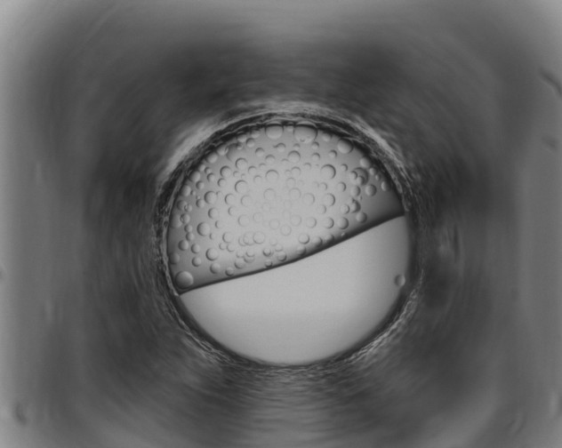 X0000097511263200802220857