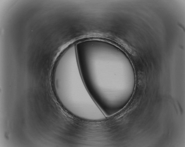X0000097511264200802220857