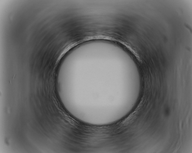 X0000097511266200802220857