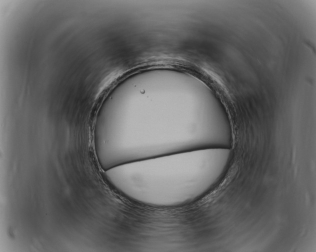 X0000097511267200802220857