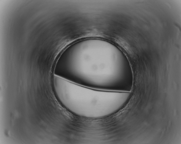 X0000097511268200802220857