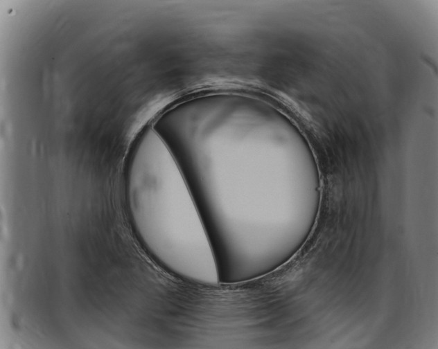 X0000097511269200802220857