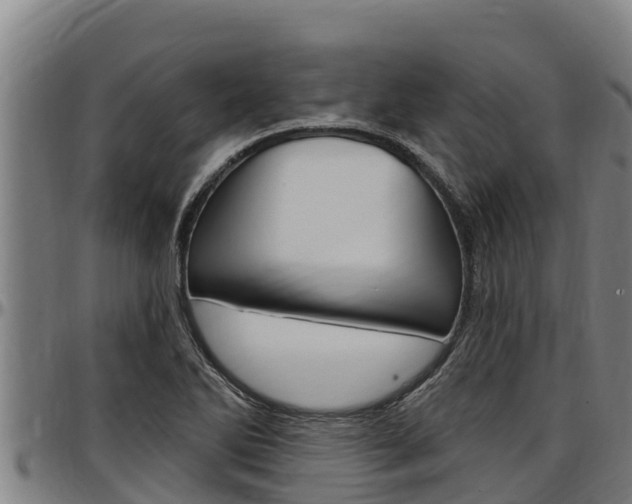 X0000097511270200802220857