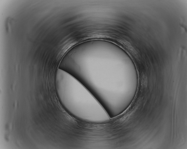 X0000097511273200802220857