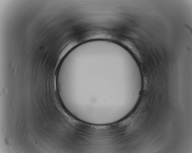 X0000097511274200802220857