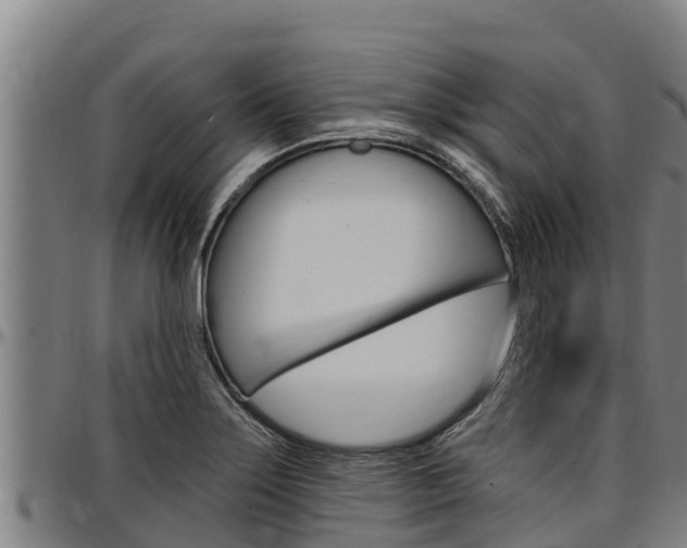X0000097511275200802220857