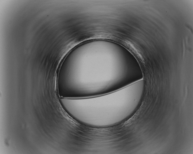X0000097511276200802220857