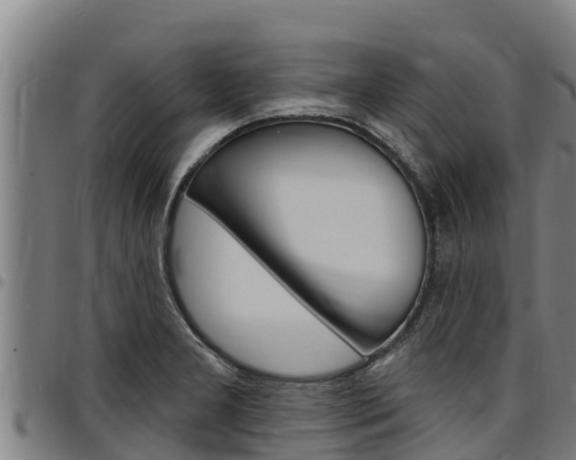 X0000097511277200802220857