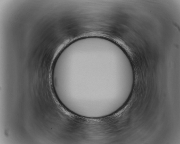 X0000097511278200802220857