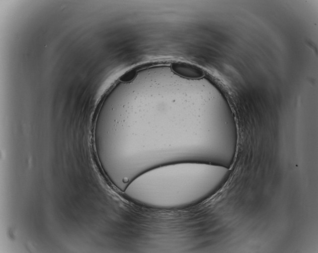X0000097511279200802220856