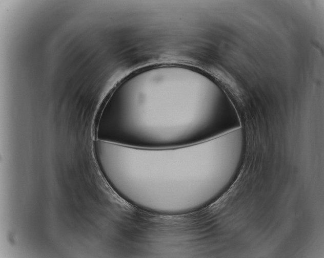 X0000097511280200802220856