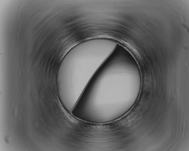 X0000097511281200802220856