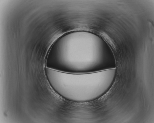 X0000097511284200802220856
