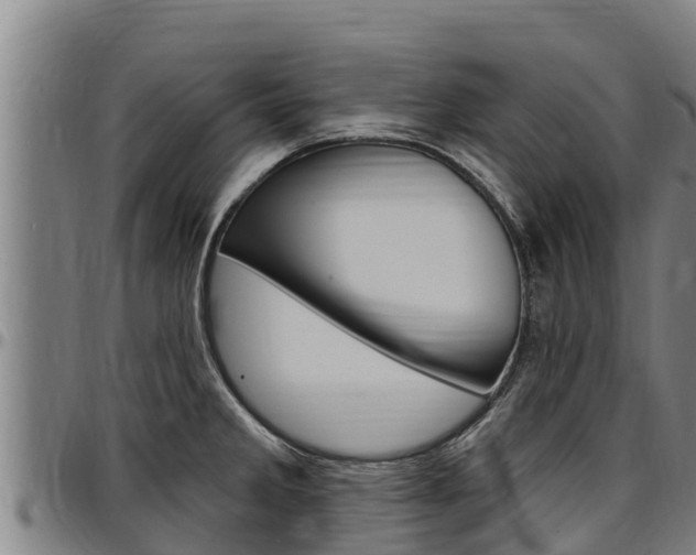 X0000097511285200802220856