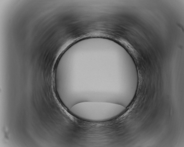 X0000097511286200802220856