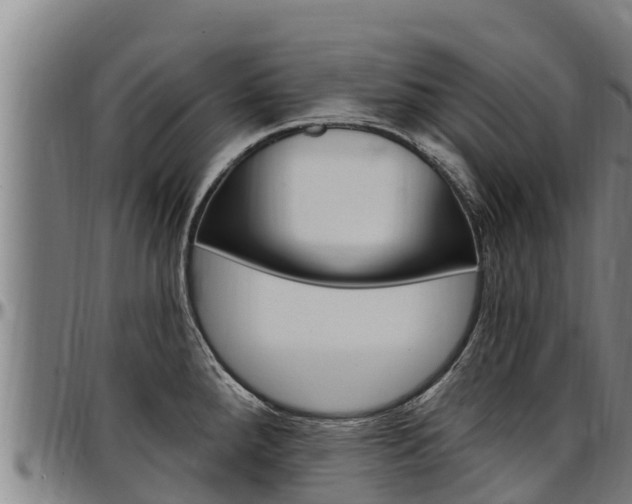 X0000097511288200802220856