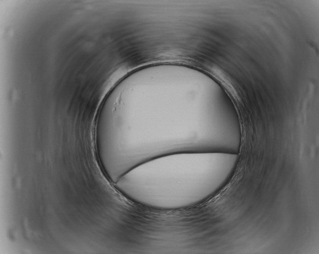 X0000097511291200802220856