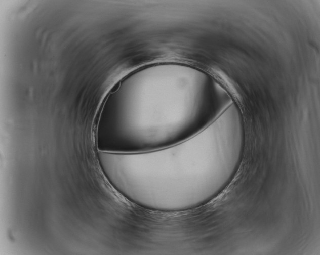 X0000097511292200802220856