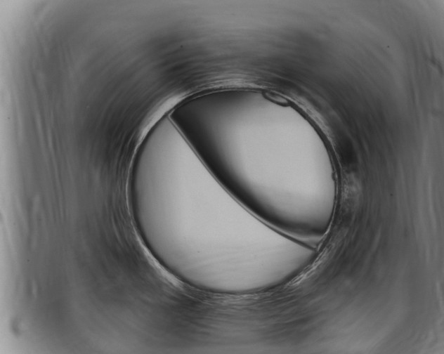 X0000097511293200802220856