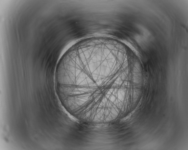 X0000097511294200802220856