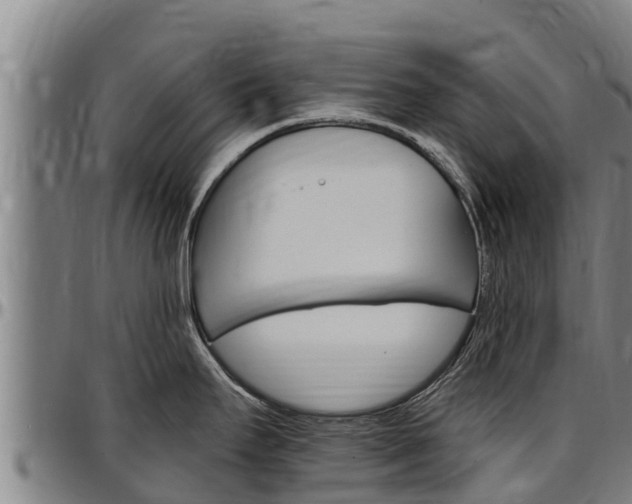 X0000097511295200802220856