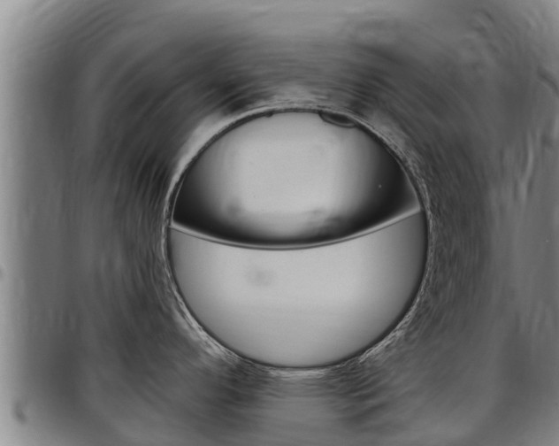 X0000097511296200802220856
